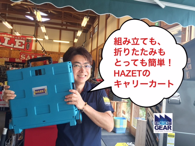 水色 ストライプデザイン キャリーカート 水色 ストライプデザイン キャリーカート 水色 ストライプデザイン