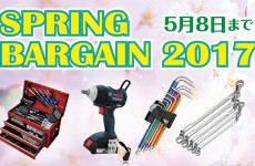 Spring Bargain 2017