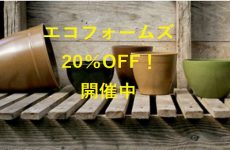 札幌店限定！エコフォームズ20％OFF！